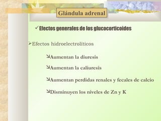 Glándula adrenal
Glándula adrenal
Efectos generales de los glucocorticoides
Efectos hidroelectrolíticos

Aumentan la diuresis
Aumentan la caliuresis
Aumentan perdidas renales y fecales de calcio
Disminuyen los niveles de Zn y K

 