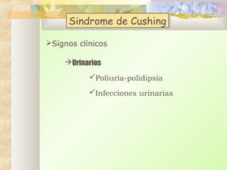 Sindrome de Cushing
Sindrome de Cushing
Sígnos clínicos
Urinarios
Poliuria-polidipsia
Infecciones urinarias

 