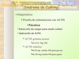 Sindrome de Cushing
Sindrome de Cushing
Disgnóstico
Prueba de estimulación con ACTH
•Técnica
Extracción de sangre para medir cortisol
Aplicación de ACTH:

ACTH gelatina acuosa
2.2 UI / Kg. IM

ACTH sintética
0.25 mg totales IM para perros
0.125 mg totales IM para gatos

 