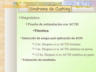 Sindrome de Cushing
Sindrome de Cushing
Disgnóstico
Prueba de estimulación con ACTH
•Técnica
Extracción de sangre post aplicación de ACTH

2 hs. Despues si es ACTH Gelatina
1 hs. Despues si es ACTH sintética en perros
1/2 hs. Despues si es ACTH sintética en gatos
Evaluación de resultados

 