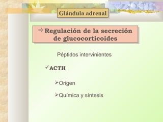 Glándula adrenal
Glándula adrenal
Regulación de la secreción
Regulación de la secreción
de glucocorticoides
de glucocorticoides
Péptidos intervinientes
ACTH
Origen
Química y síntesis

 