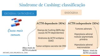 Tumores adrenais
Hiperplasia adrenal
nodular pigmentada
primária
Hiperplasia adrenal
macronodular
Síndrome de Cushing: classificação
ACTH-dependente (80%)
Doença de Cushing (80% das
causas ACTH-dependentes)
Síndrome de ACTH ectópico
(SAE)
Tumor ectópico secretor de CRH
ACTH-independente (20%)
EXÓGENA / IATROGÊNICA ENDÓGENA
Altos níveis de
ACTH circulante Baixos níveis de
ACTH circulante
Causa mais
comum
ANTUNES, 2015; MELMED et al., 2016.
 
