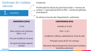 Síndrome de Cushing
Adrenal
TUMORES
Unilaterais
Proliferação de células da zona fasciculada -> excesso de
cortisol -> supressão do ACTH e CRH -> atrofia da glândula
contralateral
As células tumorais são integralmente autônomas
1.
ADENOMAS (20%)
< 3 cm
Mais comuns em mulheres
(M:H = 4:1)
Pico de incidência: 35 anos
Em geral secretam apenas
cortisol
CARCINOMAS (6%)
Grandes (> 6 cm)
M:H = 1,5:1
Incidência: infância, adolescência, final da vida
Principal causa de SC em crianças
Marcante hiperandrogenismo (secretam múltiplos
hormônios adrenais)
VILAR, 2016.
 