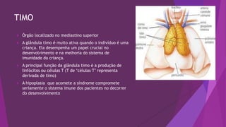 TIMO
 Órgão localizado no mediastino superior
 A glândula timo é muito ativa quando o indivíduo é uma
criança. Ela desempenha um papel crucial no
desenvolvimento e na melhoria do sistema de
imunidade da criança.
 A principal função da glândula timo é a produção de
linfócitos ou células T (T de ‘células T’ representa
derivada de timo)
 A hipoplasia que acomete a síndrome compromete
seriamente o sistema imune dos pacientes no decorrer
do desenvolvimento
 