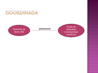 Grupo de
Síndrome de   pertenecer     anomalías
 Down (SD)                 cromosómicas
                             somáticas
 