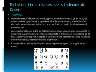 Existen tres clases de síndrome de Down:Trisomía 21:Normalmente, cada persona tiene 23 pares de cromosomas, o 46 en total, los cuales hereda 23 del padre y 23 de la madre. En situaciones normales la unión del ovulo y en espermatozoide da como resultado un ovulo fertilizado con 46 cromosomasA veces algo sale mal antes  de la fertilización. Un ovulo o un espermatozoide en desarrollo puede dividirse de manera incorrecta  Y producir un cromosoma 21 de mas. Este ovulo o espermatozoide al unirse con uno normal dan como resultado un embrión con 47 cromosomas en  lugar de 46.Este tipo de accidente de división celular se produce aprox. En el 95% de los casos.