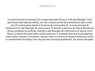 O mosaicismo do cromossoma 21 é responsável pelo SD em 2 a 4% dos afectados. Estes
apresentam dois tipos de células, um com número normal de cromossomas (46) e outro
com 47 cromossomas devido à trissomia do cromossoma 21. A causa principal do
mosaicismo é a não disjunção do cromossoma 21 durante o processo da mitose (divisão das
células somáticas) no embrião. Quando a não disjunção do cromossoma 21 ocorre numa
célula, as células derivadas desta serão trissómicas. O resultado final será uma proporção
entre células normais e trissómicas. Quanto menor o número de células trissómicas, menor
é o envolvimento fenotípico. Por isto pacientes mosaicos geralmente, são menos afectados.
 