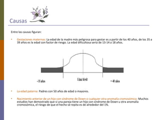 Causas
Entre las causas figuran:
• Gestaciones maternas: La edad de la madre más peligrosa para gestar es a partir de los 40 años, de los 35 a
39 años es la edad con factor de riesgo. La edad dificultosa sería de 13-14 a 18 años.
• La edad paterna: Padres con 50 años de edad o mayores.
• Nacimiento anterior de un hijo con síndrome de Down o cualquier otra anomalía cromosómica: Muchos
estudios han demostrado que si una pareja tiene un hijo con síndrome de Down u otra anomalía
cromosómica, el riesgo de que el hecho se repita es de alrededor del 1%.
 
