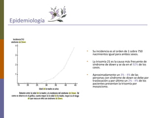 Epidemiología
• Su incidencia es el orden de 1 sobre 750
nacimientos igual para ambos sexos.
• La trisomía 21 es la causa más frecuente de
síndrome de down y se da en el 92% de los
casos.
• Aproximadamente un 3% - 4% de las
personas con síndrome de down se debe por
traslocación y por último un 2% - 4% de los
pacientes presentan la trisomía por
mosaicismo.
 