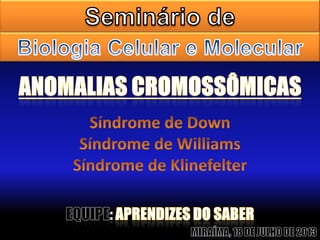 Síndrome de down - Seminário de Biologia Celular e Molecular