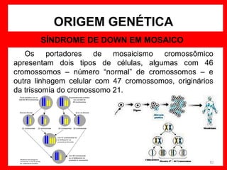 ORIGEM GENÉTICA
SÍNDROME DE DOWN EM MOSAICO
Os
portadores
de
mosaicismo
cromossômico
apresentam dois tipos de células, algumas com 46
cromossomos – número “normal” de cromossomos – e
outra linhagem celular com 47 cromossomos, originários
da trissomia do cromossomo 21.

10

 