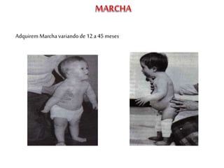 Adquirem Marcha variando de 12 a 45 meses
 