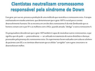 Essegene, porsuavez, provocaa produçãodeumamolécula que neutralizao cromossomoextra.A terapia
estábaseadaemestudosanteriores,que demonstraramque ogene XISTé crucialparao correto
desenvolvimento humano.Ele seencontraemum dosdois cromossomosX damãe (lembrandoque os
homenscontamcom oparXY eas mulheres com oXX) e,quandoativado,“desliga” o outrocromossomoX.
Ospesquisadoresdescobriramqueo gene XISTtambémé capazdeneutralizaroutroscromossomos,o que
significa queelepode—potencialmente—ser utilizadono tratamentodeoutrosdistúrbiosedoenças
provocadospela presençadecromossomosextra.Osexperimentosforamrealizadoscomculturascelulares
depacientescom SD,e oscientistasobservaramqueas células “corrigidas”como gene cresceram ese
desenvolveram melhor.
 