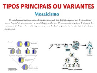 Os portadores de mosaicismo cromossômico apresentam dois tipos de células, algumas com 46 cromossomos –
número “normal” de cromossomos – e outra linhagem celular com 47 cromossomos, originários da trissomia do
cromossomo 21. Os casos de mosaicismo podem originar-se da não disjunção mitótica nas primeiras divisões de um
zigoto normal.
 