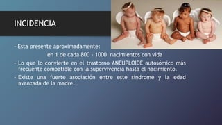 INCIDENCIA
- Esta presente aproximadamente:
en 1 de cada 800 - 1000 nacimientos con vida
- Lo que lo convierte en el trastorno ANEUPLOIDE autosómico más
frecuente compatible con la supervivencia hasta el nacimiento.
- Existe una fuerte asociación entre este síndrome y la edad
avanzada de la madre.
 