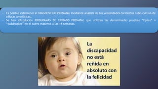 - Es posible establecer el DIAGNOSTICO PRENATAL mediante análisis de las vellosidades coriónicas o del cultivo de
células amnióticas.
- Se han introducido PROGRAMAS DE CRIBADO PRENATAL que utilizan las denominadas pruebas “tiples” o
“cuádruples” en el suero materno a las 16 semanas.
 