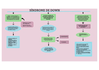 Síndrome de down infografía