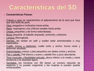    Características Físicas:

   Cráneo y cara: es característico el aplanamiento de la cara que hace
    que sea recta de perfil.
   Ojos: sesgados e inclinados hacia arriba.
   Nariz: respingona y los orificios nasales hacia arriba.
   Orejas: pequeñas y de forma redondeadas.
   Boca: pequeña, el paladar arqueado, profundo y estrecho.
   Lengua: Macroglosia.
   Dientes: les tardan en salir y suelen estar amontonados o muy
    espaciados.
   Cuello, tronco y abdomen: cuello corto y ancho; tronco recto y
    abdomen abultado.
   Extremidades: manos y pies pequeños con dedos cortos y anchos.
   Piel y cabello: Piel blanca y suave y cabello fino y poco abundante.
   Tono muscular y flexibilidad articular: altura inferior a la media y cierta
    tendencia a la obesidad ligera.
   Genitales: los hombres con SD tienen un número reducido de
    esperma y no pueden engendrar y las mujeres si pueden quedar
    embarazadas.
 