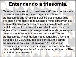 Entendendo a trissomia.
Os seres humanos têm, normalmente, 46 cromossomos em
cada uma das células de seu organismo. Esses
cromossomos são recebidos pelas células embrionárias
dos pais, no momento da fecundação. Vinte e três vêm dos
espermatozoides fornecidos pelo pai e os outros 23 vêm
contidos no óvulo da mãe. Juntos, eles formam o ovo ou
zigoto. Os cromossomos carregam milhares de genes, que
determinam todas as nossas características. Desses
cromossomos, 44 são denominados regulares e formam
pares (de 1 a 22). Os outros dois constituem o par de
cromossomos sexuais – chamados XX no caso das
meninas e XY no caso dos meninos. O que ocorre, então,
para um bebê apresentar 47 cromossomos, em vez de 46 e
ter a síndrome de dawn?
 