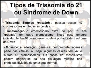 Tipos de Trissomia do 21
ou Síndrome de Down
• Trissomia Simples (padrão): a  pessoa  possui  47 
cromossomos em todas as células.
• Translocação: o  cromossomo  extra  do  par  21  fica 
"grudado"  em  outro  cromossomo.  Nese  caso  embora 
indivíduo tenha 46 cromossomos, ele é portador da Síndrome 
de Down 
• Mosaico: a  alteração  genética  compromete  apenas 
parte  das  células,  ou  seja,  algumas  células  têm  47  e 
outros  46  cromossomos,  Os  casos  de  mosaicismo 
podem  originar-se  da  não  disjunção  mitótica  nas 
primeiras divisões de um zigoto normal.
 