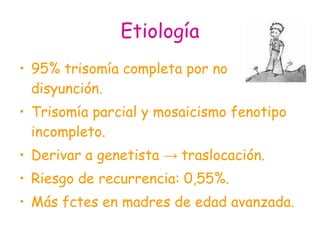 Etiología <ul><li>95% trisomía completa por no disyunción. </li></ul><ul><li>Trisomía parcial y mosaicismo fenotipo incomp...