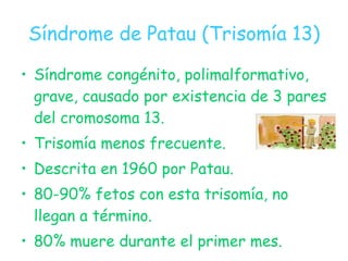 Síndrome de Patau (Trisomía 13) <ul><li>Síndrome congénito, polimalformativo, grave, causado por existencia de 3 pares del...