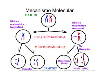 Mecanismo Molecular
American Journal of Medical Genetics Part A (Trisomies 13 and 18: Population Prevalences) 146A:820–826 (2008
 