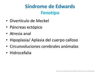 Síndrome de Edwards
Fenotipo
• Divertículo de Meckel
• Páncreas ectópico
• Atresia anal
• Hipoplasia/ Aplasia del cuerpo calloso
• Circunvoluciones cerebrales anómalas
• Hidrocefalia
Asociación Española de Pediatría (Síndrome de Edwards)
 