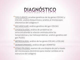 *TIPO CLÁSICO: pruebas genéticas de los genes COL5A1 y 
COL5A2, análisis bioquímicos y análisis al microscopio 
electrónico del colágeno V 
*SED VASCULAR: análisis genético del gen COL3A1 
*CIFOESCOLIOSIS: análisis de piridolinas en 
orina estudiando la relación anómala entre las 
lisinpiridolinas y las hidroxipiridolinas. análisis genético del 
gen PLOD1 
*ARTROCALASIA: análisis de los genes COL1A1 y COL1A2 
*DERMATOPARAXIS: análisis del gen ADAMTS2 
*OTRAS PRUEBAS: examen de una biopsia de piel a través 
del microscopio electrónico para revelar cambios en la 
estructura del colágeno 
 