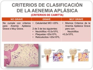 CRITERIOS DE CLASIFICACIÓN
DE LA AENEMIA APLÁSICA
(CRITERIOS DE CAMITTA)
NO GRAVE GRAVE MUY GRAVE
No cumple con criterios
para Anemia Aplásica
Grave o Muy Grave.
• Celularidad MO <25%
2 de 3 de los siguientes:
• Neutrófilos <0.5x109/L
• Plaquetas <20x109/L
• Reticulocitos <20x109/L
• Mismos Criterios de la
Anemia Aplásica Grave
pero con:
Neutrófilos
<0.2x109/L
 