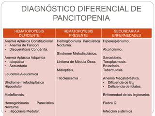 DIAGNÓSTICO DIFERENCIAL DE
PANCITOPENIA
HEMATOPOYESIS
DEFICIENTE
HEMATOPOYESIS
PRESENTE
SECUNDARIA A
ENFERMEDADES
Anemia Aplásica Constitucional
• Anemia de Fanconi
• Disqueratosis Congénita.
Anemia Aplásica Adquirida
• Idiopática
• Secundaria
Leucemia Aleucémica
Síndrome mielodisplásico
Hipocelular
Mielofibrosis
Hemoglobinuria Paroxística
Nocturna
• Hipoplasia Medular.
Hemoglobinuria Paroxística
Nocturna.
Síndrome Mielodisplásico.
Linfoma de Médula Ósea.
Mieloptisis.
Tricoleucemia
Hiperesplenismo.
Alcoholismo.
Sarcoidosis.
Toxoplasmosis.
Brucelosis.
Tuberculosis.
Anemia Megaloblástica.
• Dificiencia de B12
• Deficiencia de folatos.
Enfermedad de los legionarios
Fiebre Q
Infección sistémica
 