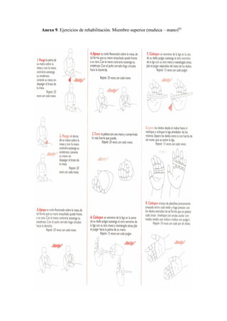 Anexo 9. Ejercicios de rehabilitación. Miembro superior (muñeca – mano)91
 