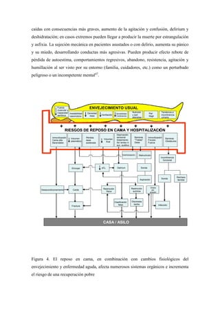 caídas con consecuencias más graves, aumento de la agitación y confusión, delirium y
deshidratación; en casos extremos pueden llegar a producir la muerte por estrangulación
y asfixia. La sujeción mecánica en pacientes asustados o con delirio, aumenta su pánico
y su miedo, desarrollando conductas más agresivas. Pueden producir efecto rebote de
pérdida de autoestima, comportamientos regresivos, abandono, resistencia, agitación y
humillación al ser visto por su entorno (familia, cuidadores, etc.) como un perturbado
peligroso o un incompetente mental47
.
Figura 4. El reposo en cama, en combinación con cambios fisiológicos del
envejecimiento y enfermedad aguda, afecta numerosos sistemas orgánicos e incrementa
el riesgo de una recuperación pobre
+ + + + + + + +
ENVEJECIMIENTO USUAL
RIESGOS DE REPOSO EN CAMA Y HOSPITALIZACIÓN
CASA / ASILO
Fuerza
muscular y
Capacidad
aeróbica
Inestabilidad
vasomotora
Densidad
ósea Ventilación
Sensibilidad
Continencia
Nutrición
y sed
alteradas
Piel
frágil
Tendencia a
incontinencia
urinaria
Inmovilización
Cama alta
Barandales
Volumen
plasmático
Pérdida
ósea
acelerada
Volumen
final
Deprivación
sensorial
Aislamiento
Sin lentes ni
aux. auditivo
Barreras
“Trabas”
Dieta
Inmovilización
Fricción
Fuerza
Barreras
Obstáculos
Desacondicionamiento
Síncope
Caída
Fractura
pO2 Delirium
Restricción
física
Deshidratación Malnutrición
Sonda
Aspiración
Úlcera
por
presión
Incontinencia
funcional
Sonda
Rechazo
familiar
Infección
Restricción
química
Discinesia
tardía
Clasificación
falsa
+ + + + + + + +
ENVEJECIMIENTO USUAL
RIESGOS DE REPOSO EN CAMA Y HOSPITALIZACIÓN
CASA / ASILO
Fuerza
muscular y
Capacidad
aeróbica
Inestabilidad
vasomotora
Densidad
ósea Ventilación
Sensibilidad
Continencia
Nutrición
y sed
alteradas
Piel
frágil
Tendencia a
incontinencia
urinaria
Inmovilización
Cama alta
Barandales
Volumen
plasmático
Pérdida
ósea
acelerada
Volumen
final
Deprivación
sensorial
Aislamiento
Sin lentes ni
aux. auditivo
Barreras
“Trabas”
Dieta
Inmovilización
Fricción
Fuerza
Barreras
Obstáculos
Desacondicionamiento
Síncope
Caída
Fractura
pO2 Delirium
Restricción
física
Deshidratación Malnutrición
Sonda
Aspiración
Úlcera
por
presión
Incontinencia
funcional
Sonda
Rechazo
familiar
Infección
Restricción
química
Discinesia
tardía
Clasificación
falsa
+ + + + + + + +
ENVEJECIMIENTO USUAL
RIESGOS DE REPOSO EN CAMA Y HOSPITALIZACIÓN
CASA / ASILO
Fuerza
muscular y
Capacidad
aeróbica
Inestabilidad
vasomotora
Densidad
ósea Ventilación
Sensibilidad
Continencia
Nutrición
y sed
alteradas
Piel
frágil
Tendencia a
incontinencia
urinaria
Inmovilización
Cama alta
Barandales
Volumen
plasmático
Pé
+ + + + + + + +
ENVEJECIMIENTO USUAL
RIESGOS DE REPOSO EN CAMA Y HOSPITALIZACIÓN
CASA / ASILO
Fuerza
muscular y
Capacidad
aeróbica
Inestabilidad
vasomotora
Densidad
ósea Ventilación
Sensibilidad
Continencia
Nutrición
y sed
alteradas
Piel
frágil
Tendencia a
incontinencia
urinaria
Inmovilización
Cama alta
Barandales
Volumen
plasmático
Pérdida
ósea
acelerada
Volumen
final
Deprivación
sensorial
Aislamiento
Sin lentes ni
aux. auditivo
Barreras
“Trabas”
Dieta
Inmovilización
Fricción
Fuerza
Barreras
Obstáculos
Desacondicionamiento
Síncope
Caída
Fractura
pO2 Delirium
Restricción
física
Deshidratación Malnutrición
Sonda
Aspiración
Úlcera
por
presión
Incontinencia
funcional
Sonda
Rechazo
familiar
Infección
Restricción
química
Discinesia
tardía
Clasificación
falsa
+ + + + + + + +
ENVEJECIMIENTO USUAL
RIESGOS DE REPOSO EN CAMA Y HOSPITALIZACIÓN
CASA / ASILO
Fuerza
muscular y
Capacidad
aeróbica
Inestabilidad
vasomotora
Densidad
ósea Ventilación
Sensibilidad
Continencia
Nutrición
y sed
alteradas
Piel
frágil
Tendencia a
incontinencia
urinaria
Inmovilización
Cama alta
Barandales
Volumen
plasmático
Pérdida
ósea
acelerada
Volumen
final
Deprivación
sensorial
Aislamiento
Sin lentes ni
aux. auditivo
Barreras
“Trabas”
Dieta
Inmovilización
Fricción
Fuerza
Barreras
Obstáculos
Desacondicionamiento
Síncope
Caída
Fractura
pO2 Delirium
Restricción
física
Deshidratación Malnutrición
Sonda
Aspiración
Úlcera
por
presión
Incontinencia
funcional
Sonda
Rechazo
familiar
Infección
Restricción
química
Discinesia
tardía
Clasificación
falsa
 