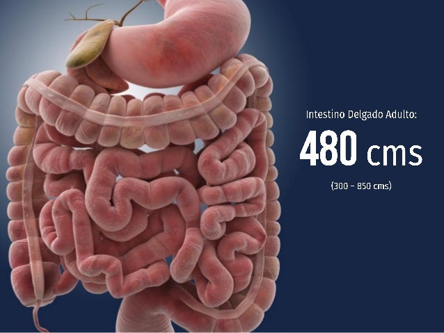 Síndrome de intestino corto (final)