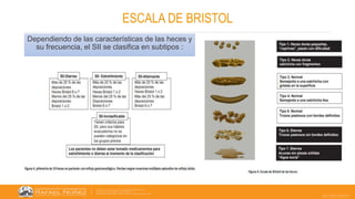 22/05/2023
ESCALA DE BRISTOL
Dependiendo de las características de las heces y
su frecuencia, el SII se clasifica en subtipos :
 