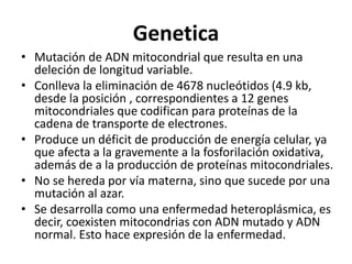 Genetica
• Mutación de ADN mitocondrial que resulta en una
deleción de longitud variable.
• Conlleva la eliminación de 4678 nucleótidos (4.9 kb,
desde la posición , correspondientes a 12 genes
mitocondriales que codifican para proteínas de la
cadena de transporte de electrones.
• Produce un déficit de producción de energía celular, ya
que afecta a la gravemente a la fosforilación oxidativa,
además de a la producción de proteínas mitocondriales.
• No se hereda por vía materna, sino que sucede por una
mutación al azar.
• Se desarrolla como una enfermedad heteroplásmica, es
decir, coexisten mitocondrias con ADN mutado y ADN
normal. Esto hace expresión de la enfermedad.
 