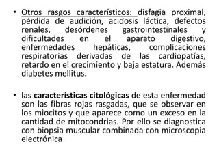 • Otros rasgos característicos: disfagia proximal,
pérdida de audición, acidosis láctica, defectos
renales, desórdenes gastrointestinales y
dificultades en el aparato digestivo,
enfermedades hepáticas, complicaciones
respiratorias derivadas de las cardiopatías,
retardo en el crecimiento y baja estatura. Además
diabetes mellitus.
• las características citológicas de esta enfermedad
son las fibras rojas rasgadas, que se observar en
los miocitos y que aparece como un exceso en la
cantidad de mitocondrias. Por ello se diagnostica
con biopsia muscular combinada con microscopia
electrónica
 