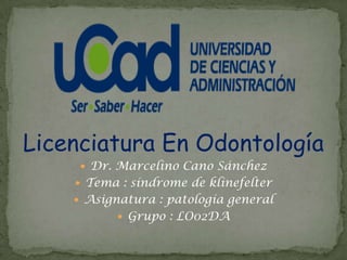 Licenciatura En Odontología
      Dr. Marcelino Cano Sánchez
     Tema : síndrome de klinefelter
     Asignatura : patología general
           Grupo : LO02DA
 