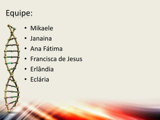Equipe:
• Mikaele
• Janaina
• Ana Fátima
• Francisca de Jesus
• Erlândia
• Eclária
 