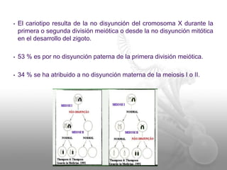 • El cariotipo resulta de la no disyunción del cromosoma X durante la 
primera o segunda división meiótica o desde la no disyunción mitótica 
en el desarrollo del zigoto. 
• 53 % es por no disyunción paterna de la primera división meiótica. 
• 34 % se ha atribuido a no disyunción materna de la meiosis I o II. 
 