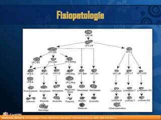 FisiopatologíaMcKenzie, Shirlyn B.Hematología Clínica. Baltimore, Maryland : Manual Moderno, 2000. 968-426-819-X.