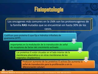 FisiopatologíaLos oncogenes más comunes en la LMA son los protooncogenes de la familia RAS mutados que se encuentran en hasta 30% de los casos.McKenzie, Shirlyn B.Hematología Clínica. Baltimore, Maryland : Manual Moderno, 2000. 968-426-819-X.
