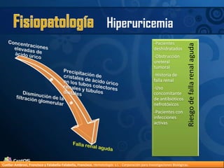 FisiopatologíaHiperuricemiaCuellar-Ambrosi, Francisco y Falabella-Falabella, Francisco.Hematología. s.l. : Corporación para Investigaciones Biológicas.