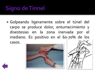  Golpeando ligeramente sobre el túnel del
carpo se produce dolor, entumecimiento y
disestesias en la zona inervada por el
mediano. Es positivo en el 60-70% de los
casos.
 