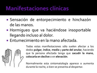  Sensación de entorpecimiento e hinchazón
de las manos.
 Hormigueo que va haciéndose insoportable
llegando incluso al dolor.
 Entumecimiento en la mano afectada.
Todas estas manifestaciones sólo suelen afectar a los
dedos pulgar, índice, medio y parte del anular, haciendo
que la persona afectada tenga que sacudir la mano,
colocarla en declive o en elevación.
Normalmente esta sintomatología aparece o aumenta
durante la noche, o bien se presenta al despertar.
 