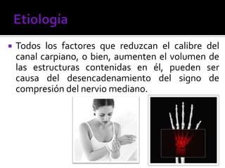  Todos los factores que reduzcan el calibre del
canal carpiano, o bien, aumenten el volumen de
las estructuras contenidas en él, pueden ser
causa del desencadenamiento del signo de
compresión del nervio mediano.
 