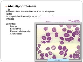  Abetalipoproteinem
iaEl epitelio de la mucosa GI es incapaz de transportar
lípidos
La apoproteína B reúne lípidos en quilomicrones 
linfáticos
Lactantes:
Diarrea
Esteatorrea
Retraso del desarrollo
Acantocitosis
 