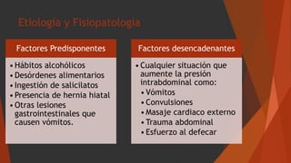 Etiología y Fisiopatología
Factores Predisponentes
•Hábitos alcohólicos
•Desórdenes alimentarios
•Ingestión de salicilatos
•Presencia de hernia hiatal
•Otras lesiones
gastrointestinales que
causen vómitos.
Factores desencadenantes
•Cualquier situación que
aumente la presión
intrabdominal como:
•Vómitos
•Convulsiones
•Masaje cardiaco externo
•Trauma abdominal
•Esfuerzo al defecar
 