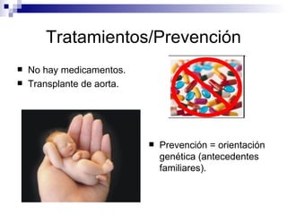 Tratamientos/Prevención
   No hay medicamentos.
   Transplante de aorta.




                               Prevención = orientación
                                genética (antecedentes
                                familiares).
 