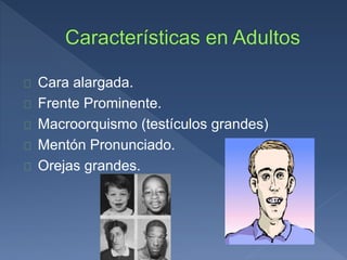 Cara alargada.
Frente Prominente.
Macroorquismo (testículos grandes)
Mentón Pronunciado.
Orejas grandes.
 
